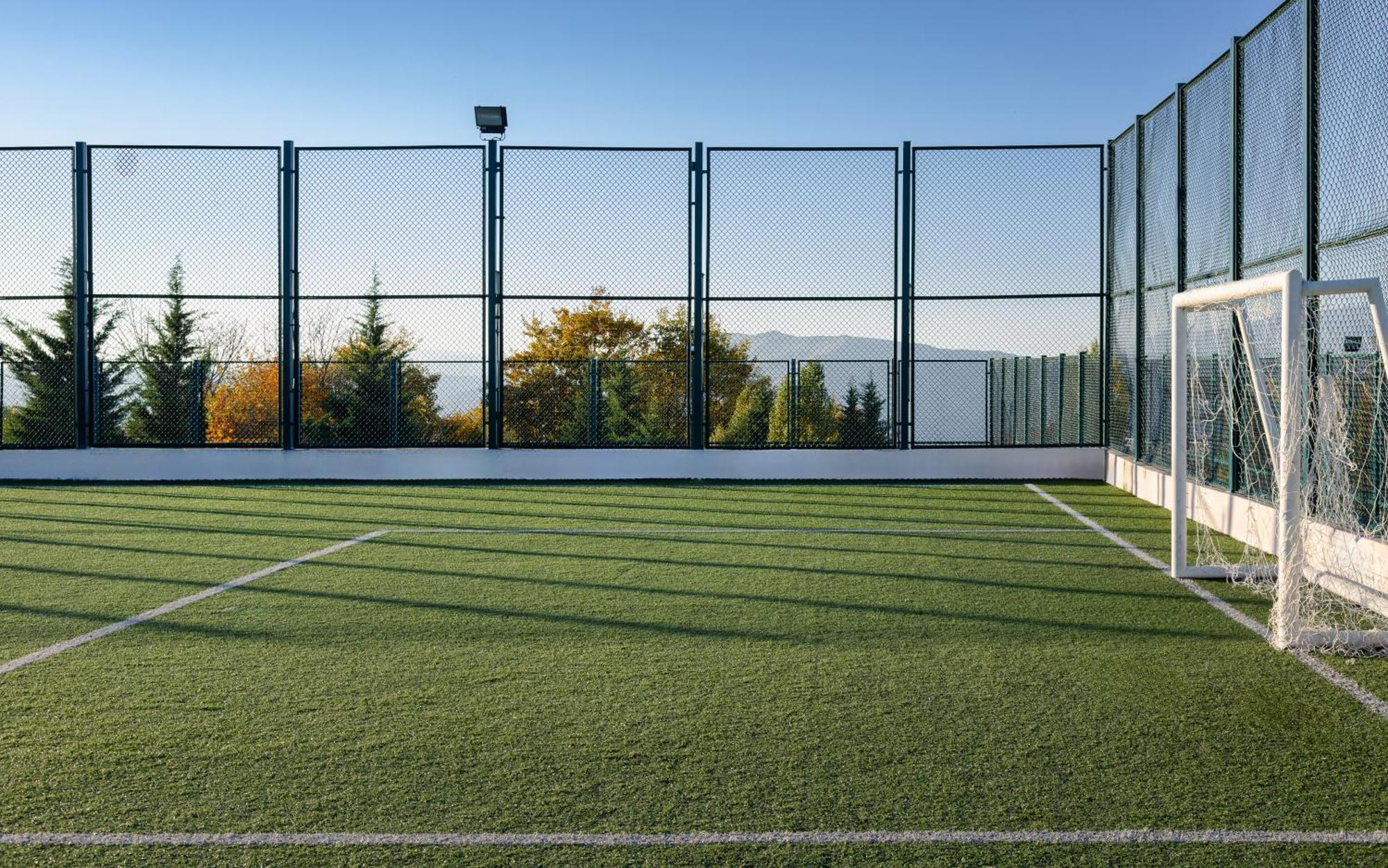 Shamakhi Palace Sharadil Seredil Εξωτερικό φωτογραφία The artificial grass pitch at the University of Novi Sad